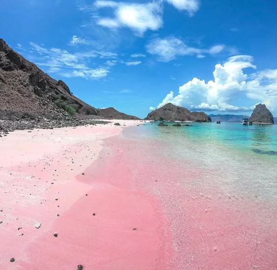 Pink beach. Samar Leyte😍



