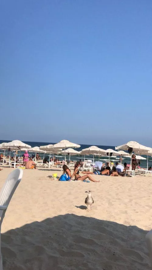 Sometimes we need to enjoy rest day go to beach look at bird