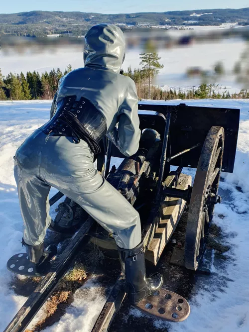 Your cannon is ready to fire, sir!