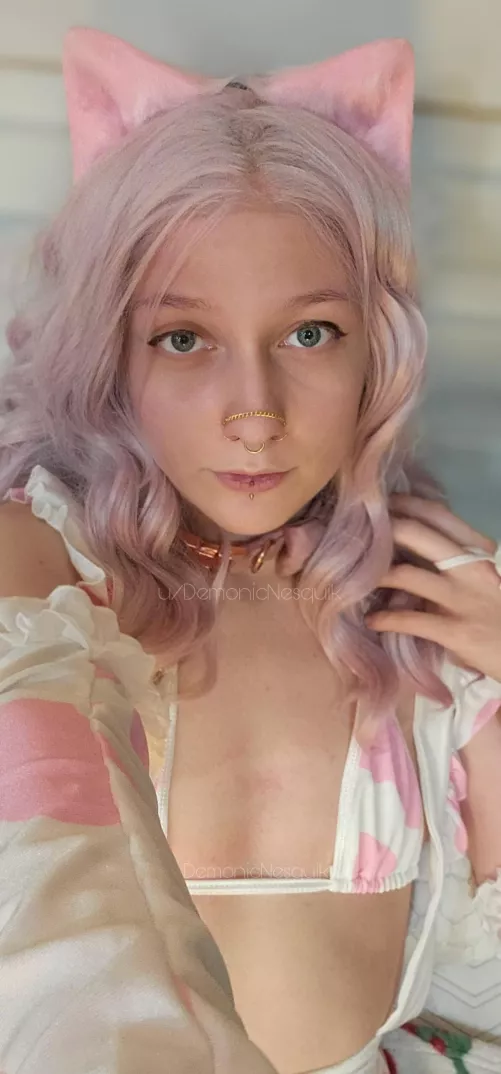 Collared catgirl maid