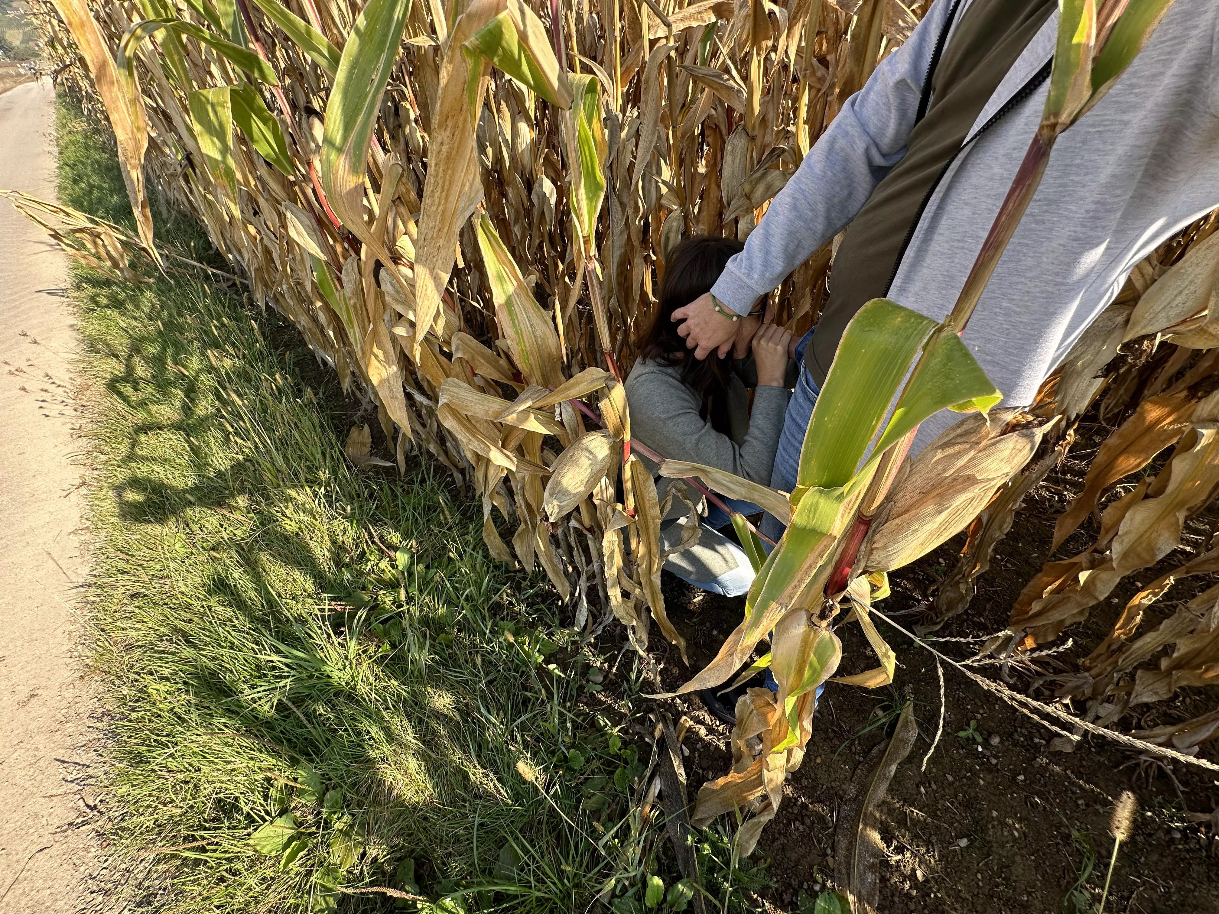 Enjoying the nice weather…😉what‘s your reaction when you are walking by…(swiss couple)