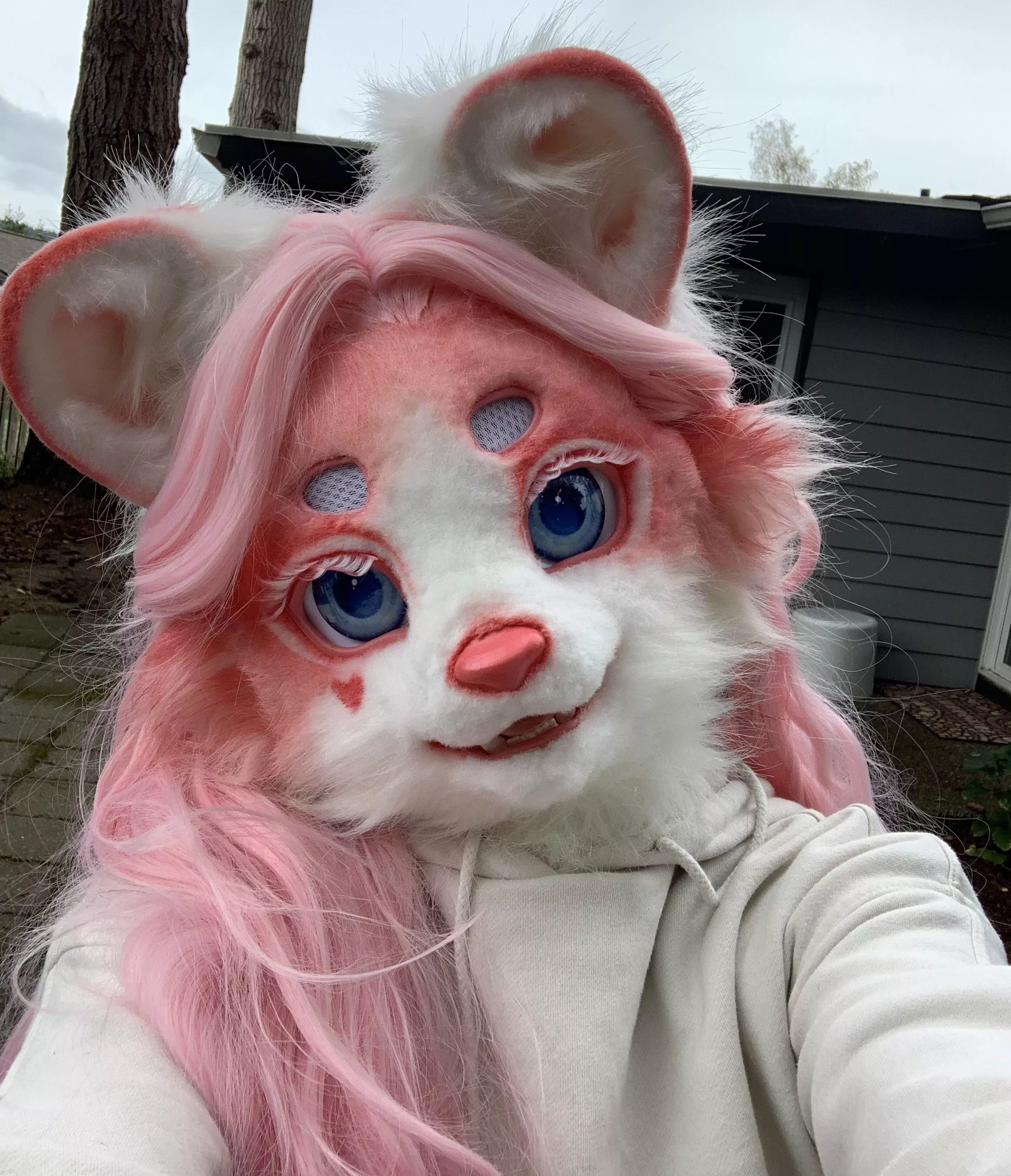 Lazy morning leopard 🐆💖