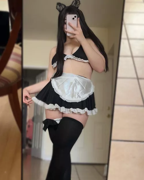 Made Kitty (not_sugashi)