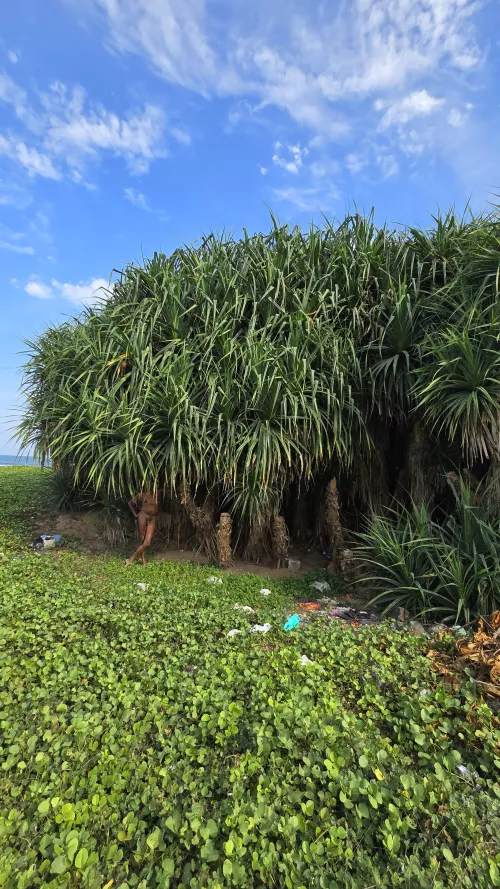 Nude in nature. Finding a quiet place by the beach in India's south east coast to stay protected from the harsh sun 🌞 