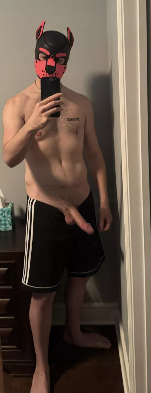 Pup is looking for some cardio 