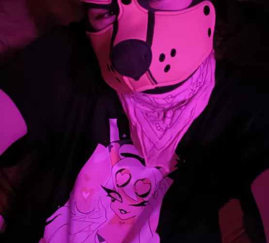 Puppy got a new shirt today! I love it so much! Woof! 💕 🐾 🐶 💖 