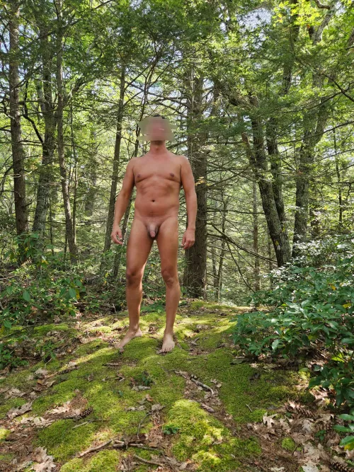 The moss was everything