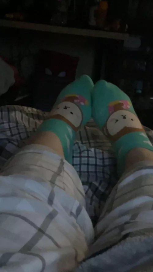 monkey socks>.< monkeys arw my fav animall 🎀