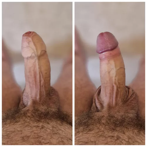 My normal view: covered or pulled back? (43)