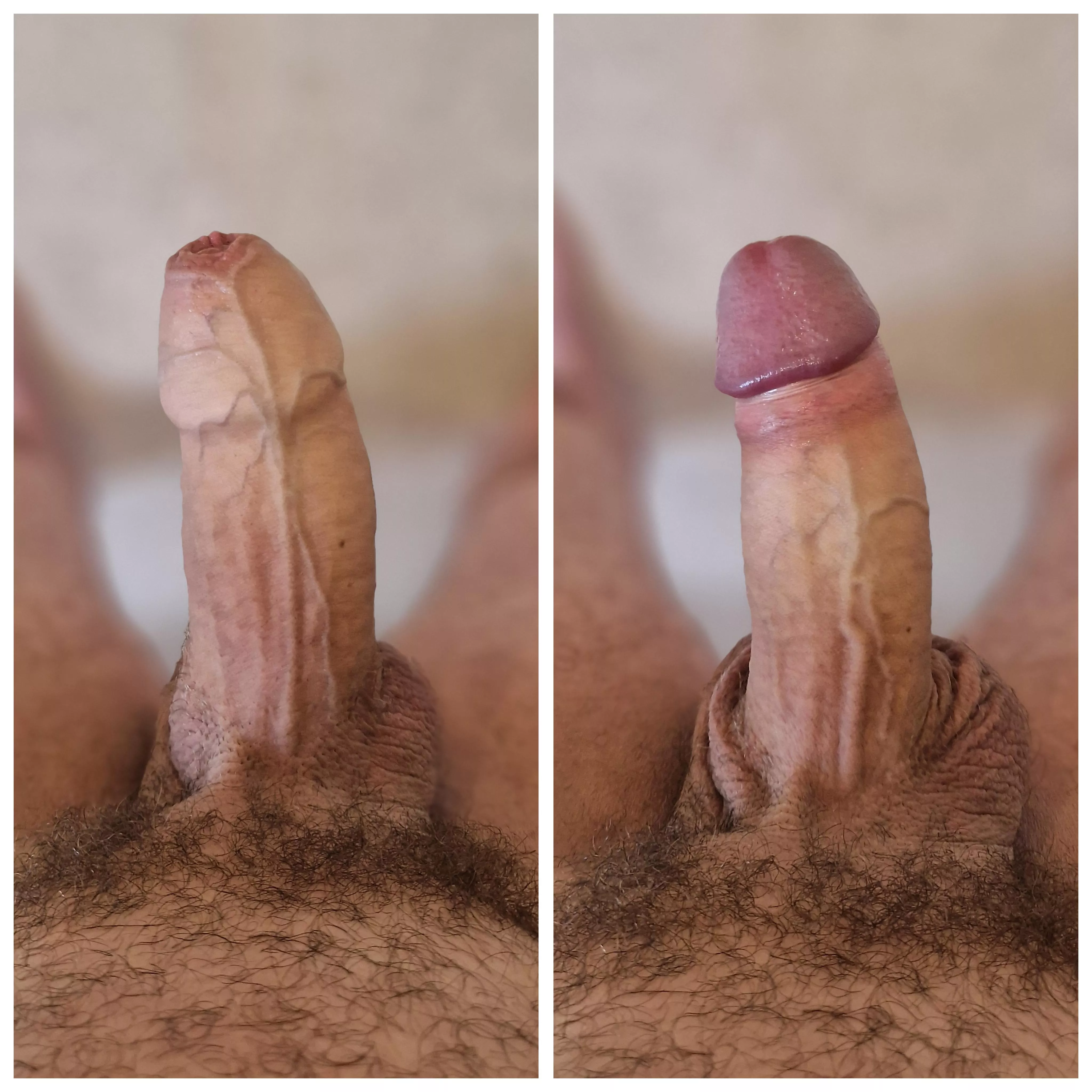 My normal view: covered or pulled back? (43)