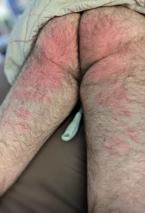 pet asked for a spanking!