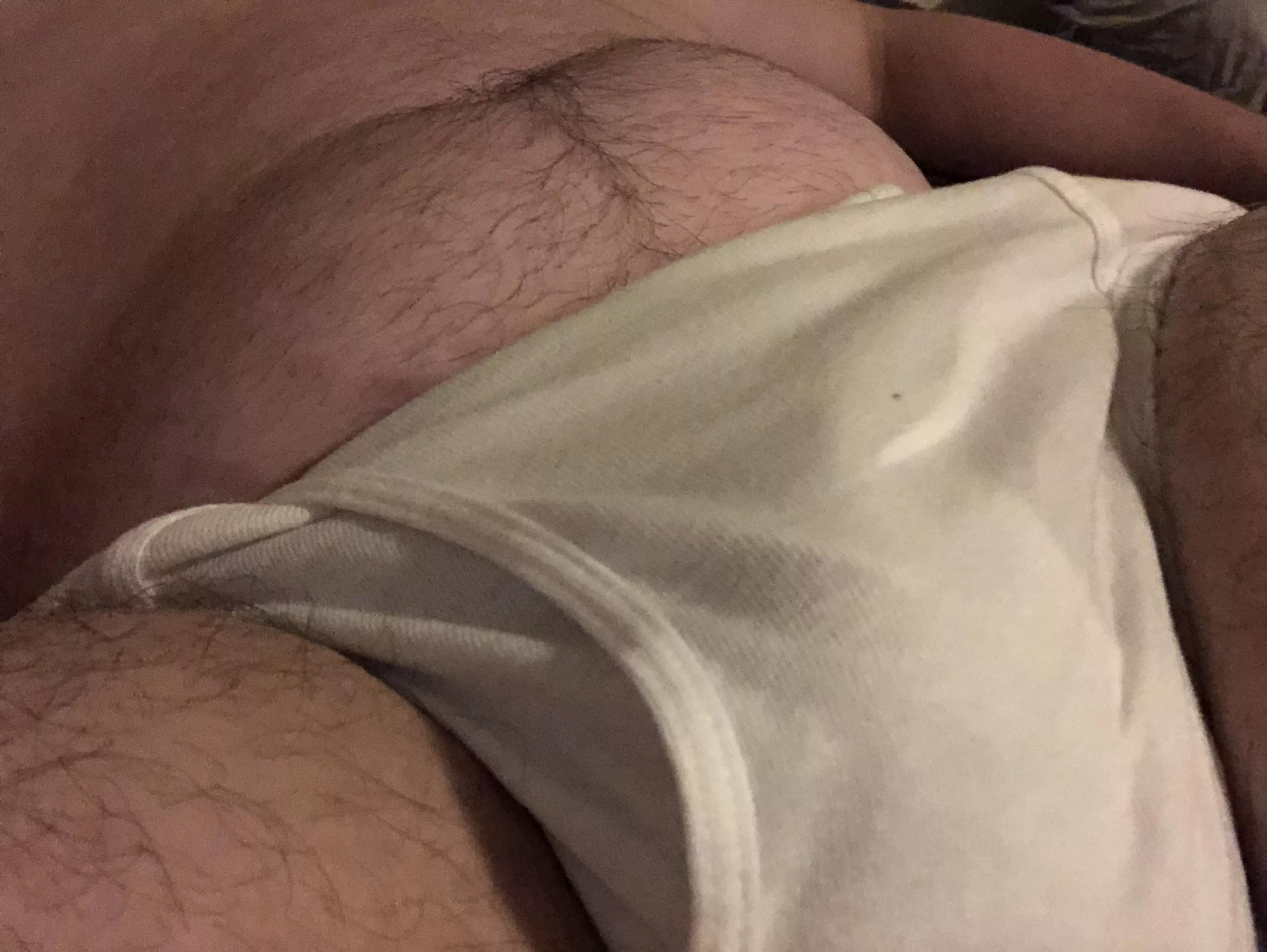 A briefed cub lounging around