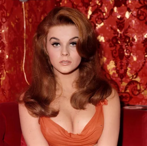 ann margret