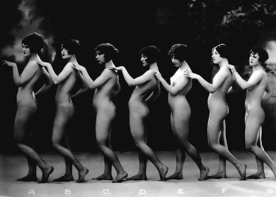 by Albert Arthur Allen