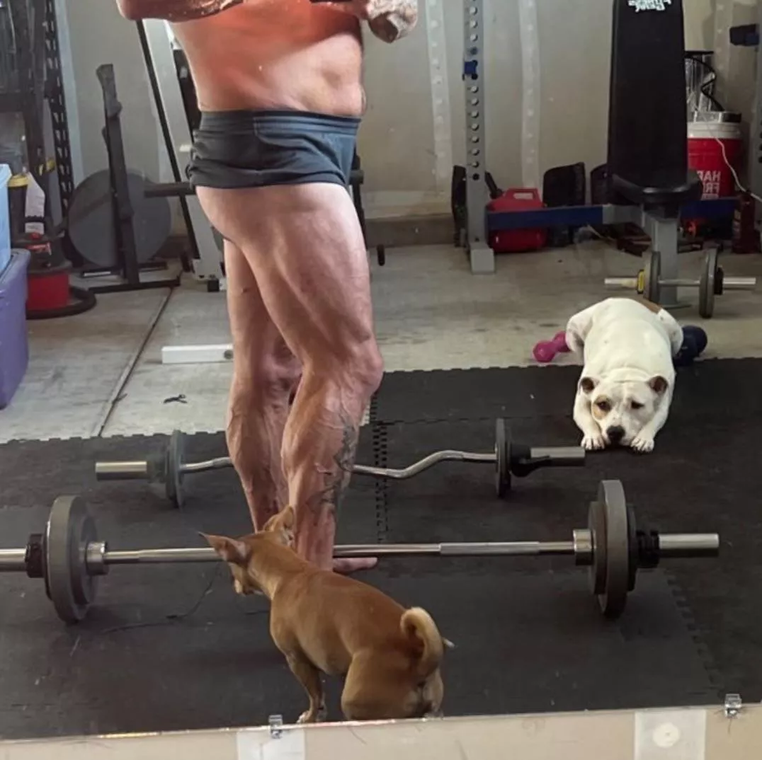 Every day is leg day !!