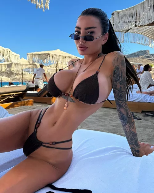 Golden standard Bimbo