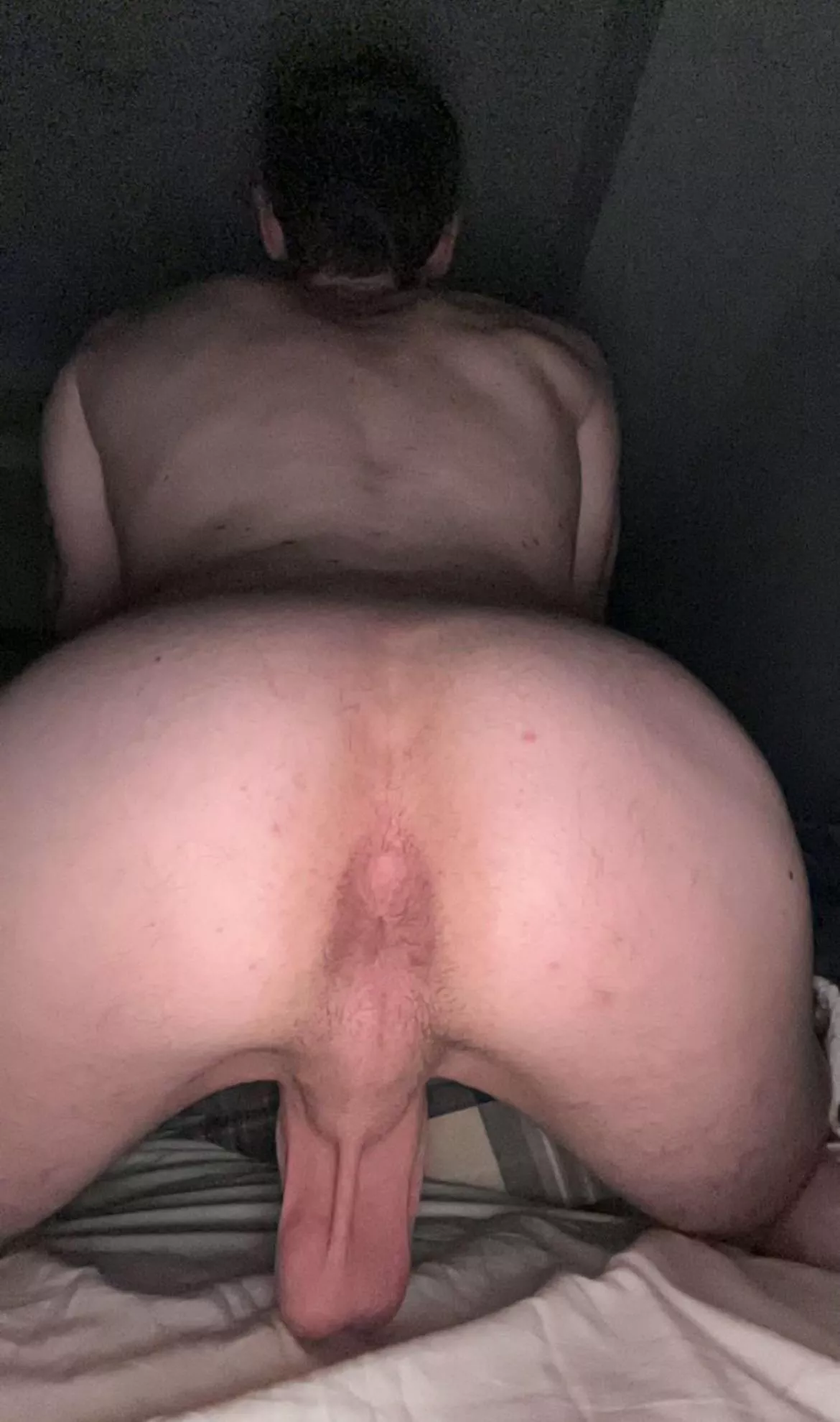 He needs to be stuffed. Come help? (21)