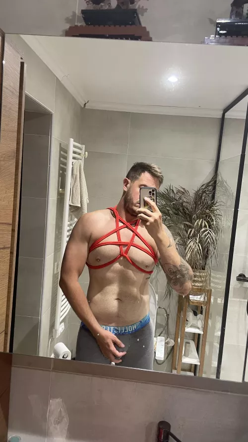My first harness what you think about it ? Be honest 