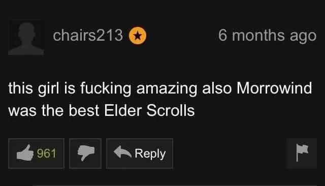 Of course PH dudes like Elder Scrolls the best. They're not classy like the Oblivion dudes on Spankbang 🙄