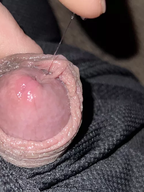 Precum party