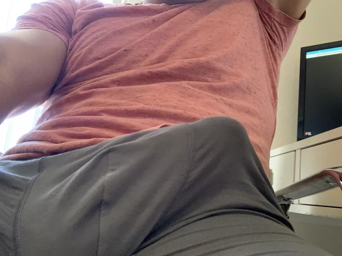 Rated E for Everyone 