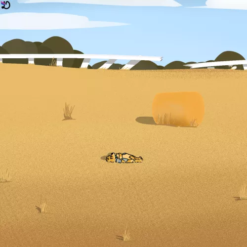 You don't understand.