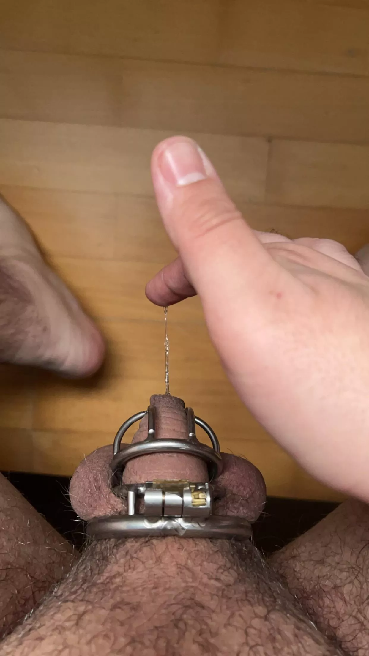 Bought the xs cage, still too big