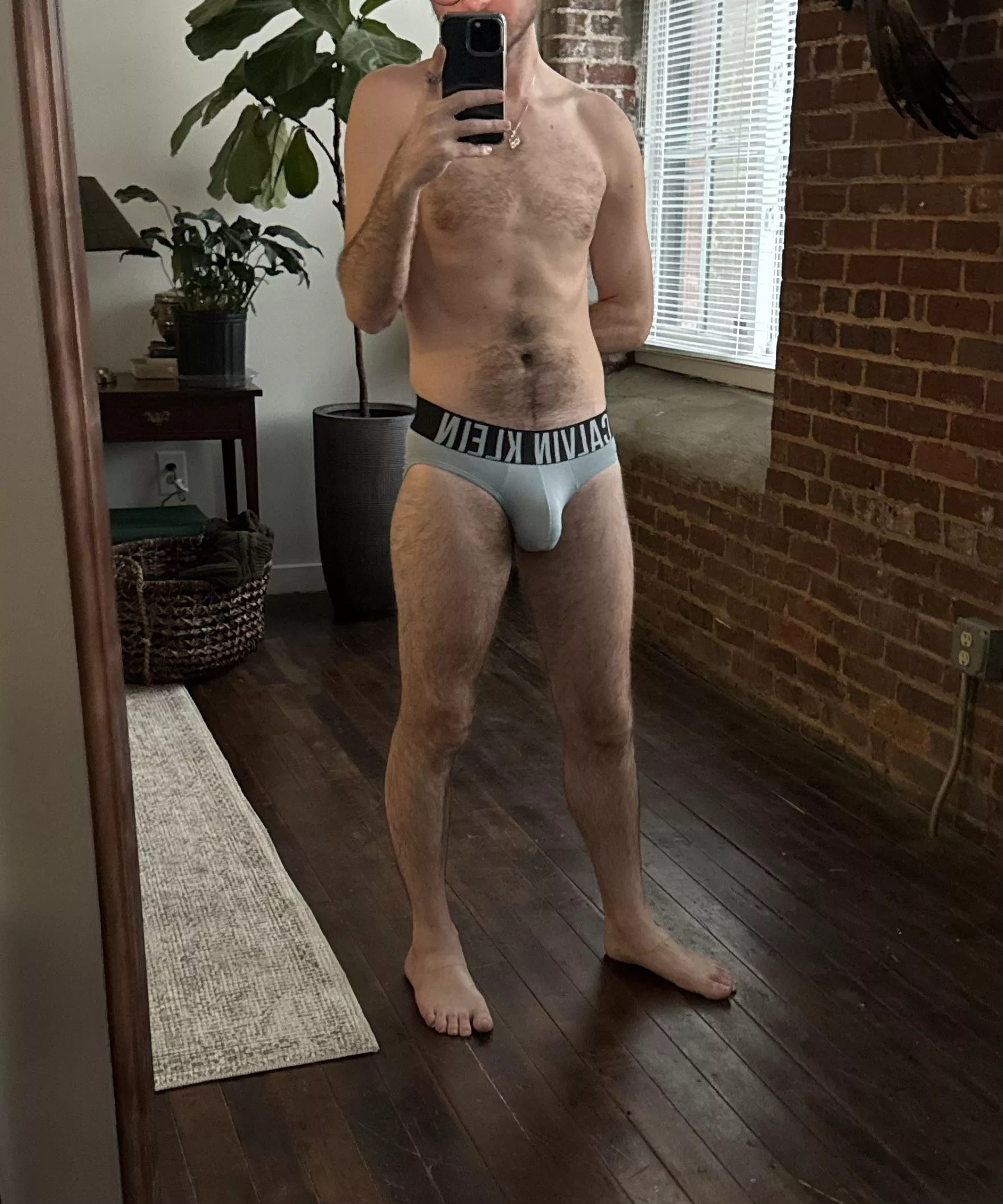 Brief Bulge