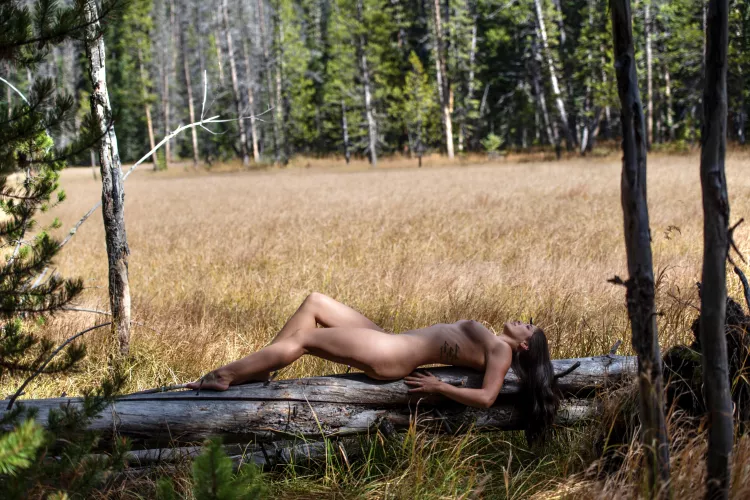 Enjoying the sun and pine