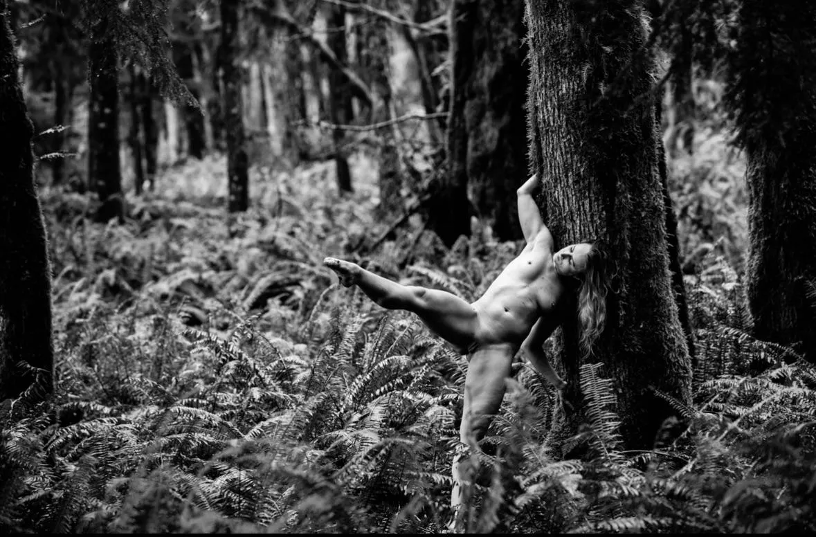Ferns and trees and water droplets 
