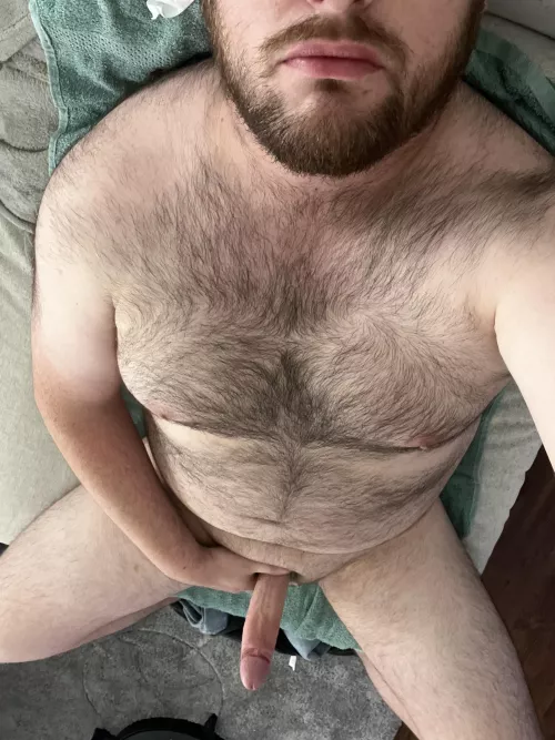 Give this chubby hairy Dutchie some love - what are your thoughts? 