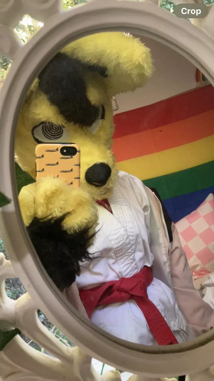 Happy late fursuit Friday everyone! 
