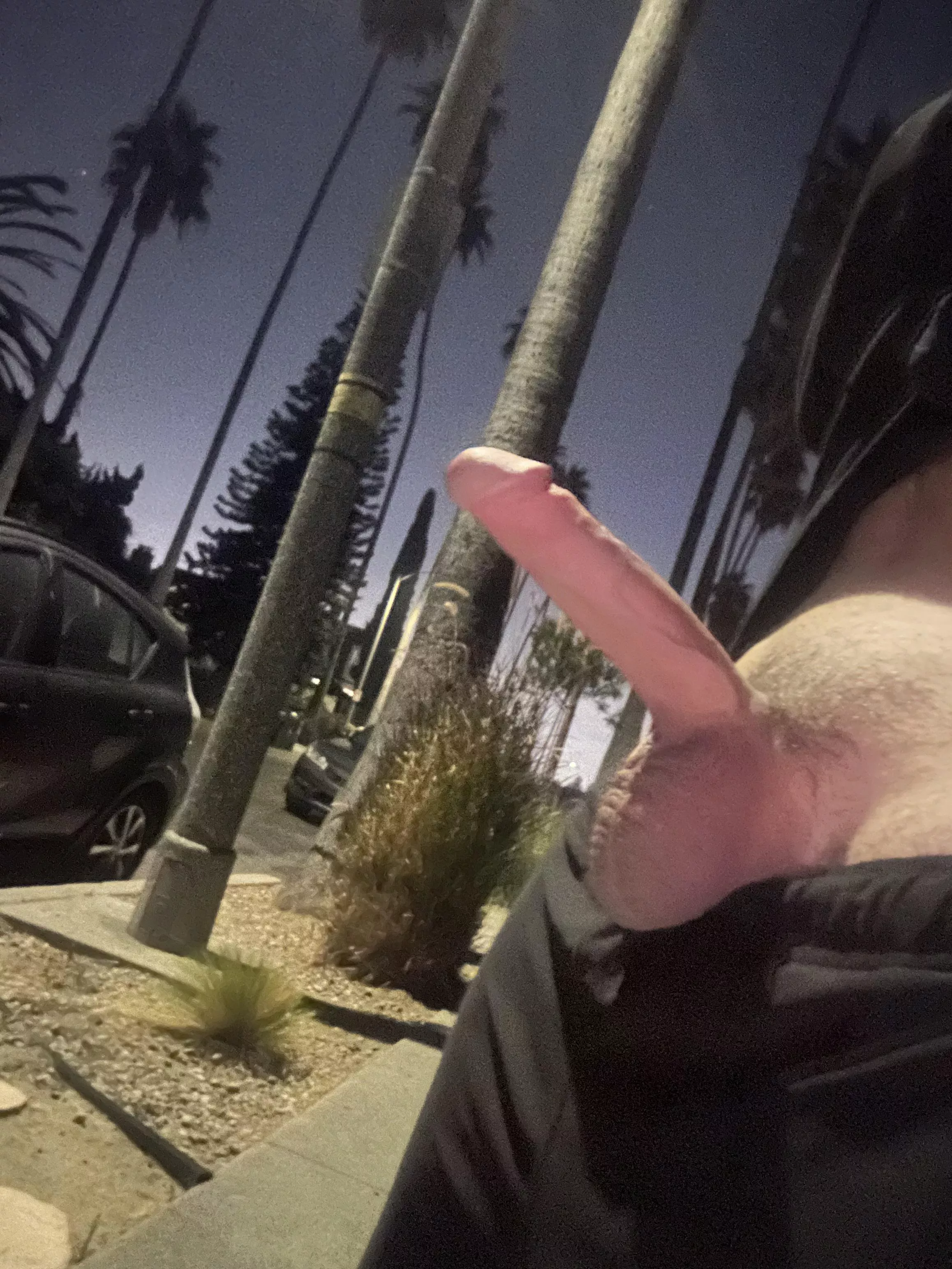 I love letting my boner out in public 