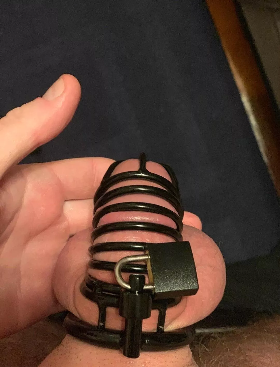 Just getting into caging. What do you think? 