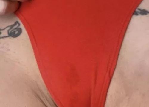 my panty is getting wet everyday