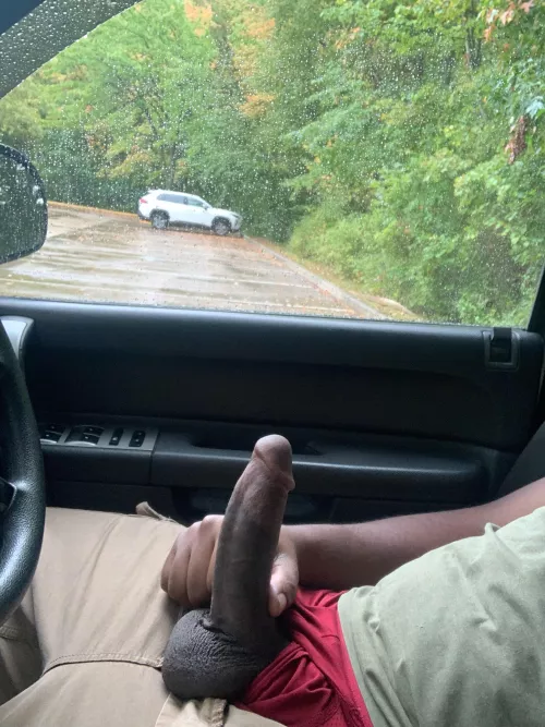 Pulled over to stroke it 😮‍💨