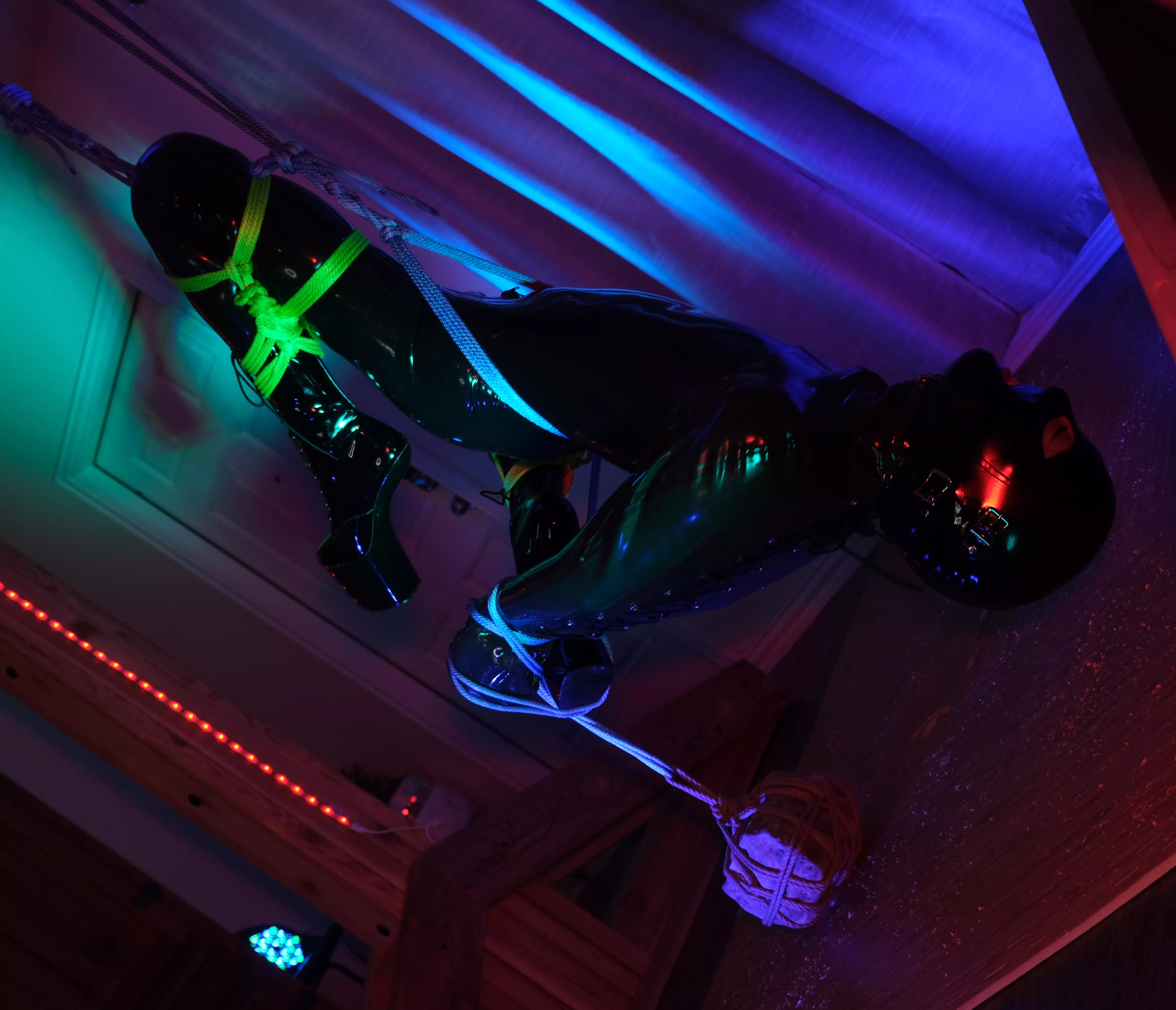 Suspended this gimp in latex and nylon 