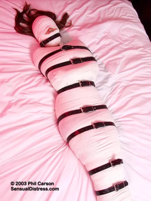 Well... I may could've handled that better. When I rented out my Airbnb I explicitly said No Parties but when I saw that my place was being used for so to kick them out. They instead told me they needed a prop and turned me into their moaning mummy with