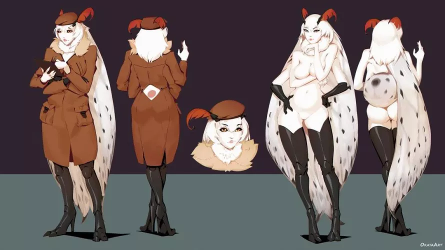 Elegant Moth in search for a bright lamp