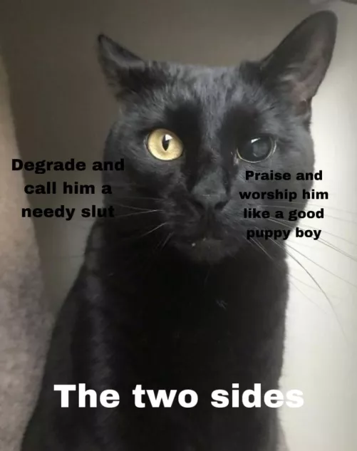 I have two sides and it switches effortlessly! Degrade and Pamper. Agree?