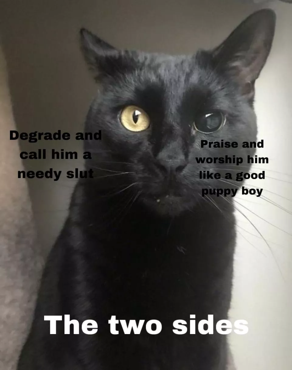 I have two sides and it switches effortlessly! Degrade and Pamper. Agree?