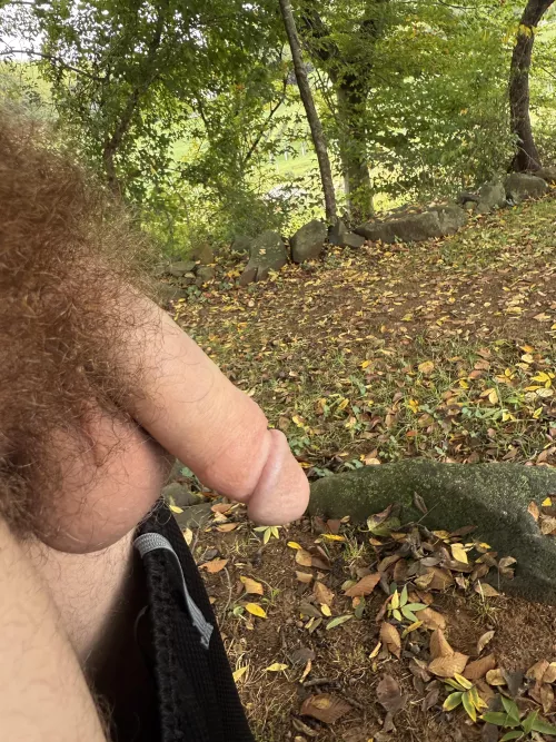 Nice outdoors softie18