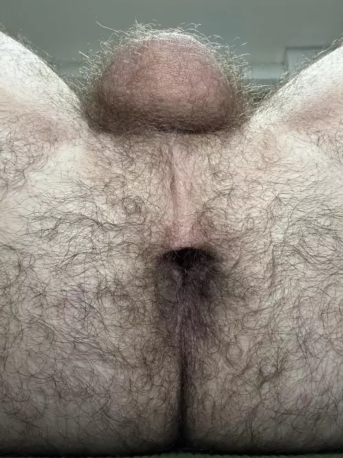 Wanna explore my hairy cave?