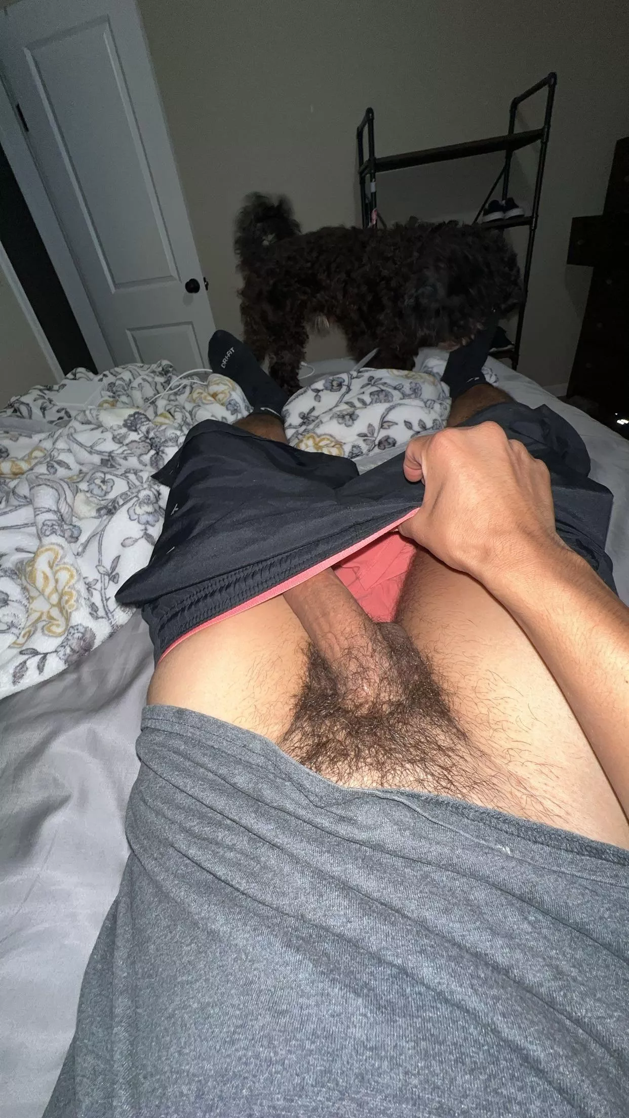 Who wants to give it a lick