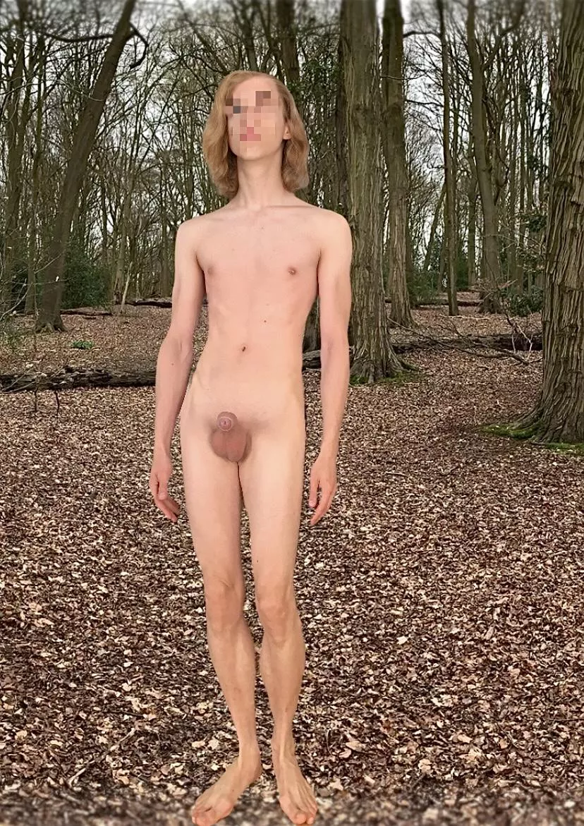 Who'd jerk me off in the woods?