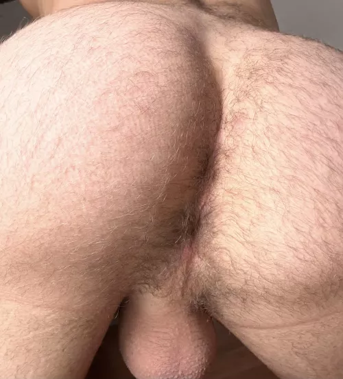 Would you rather let me sit on your face or cock?
