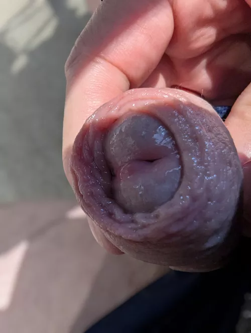 51 - looking at NSFW Reddit again...