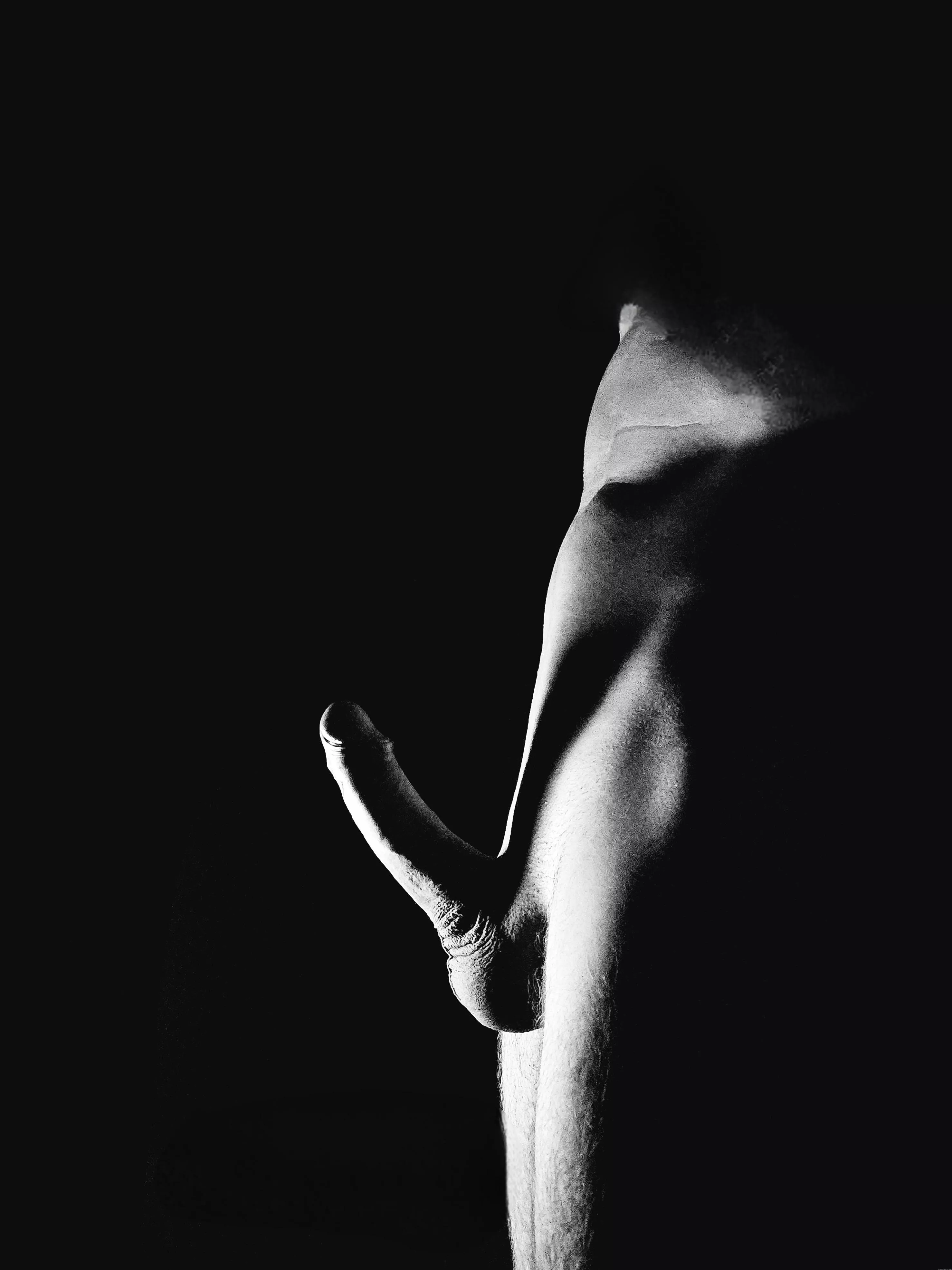 a silhouette of strength