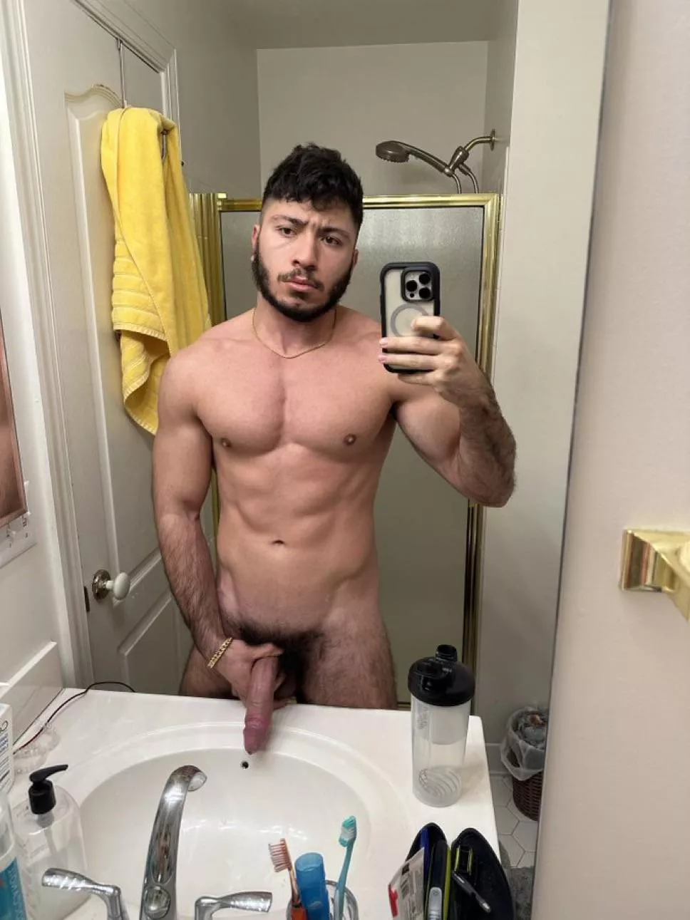 Bearded Persian Alpha 