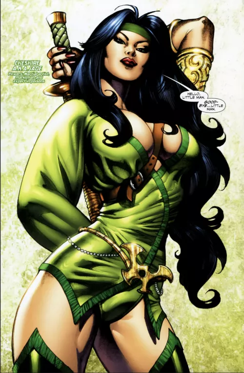 Cheshire surprises the Atom [Titans: Villains for Hire]